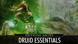 Skyrim Mod Feature: Druid Essentials