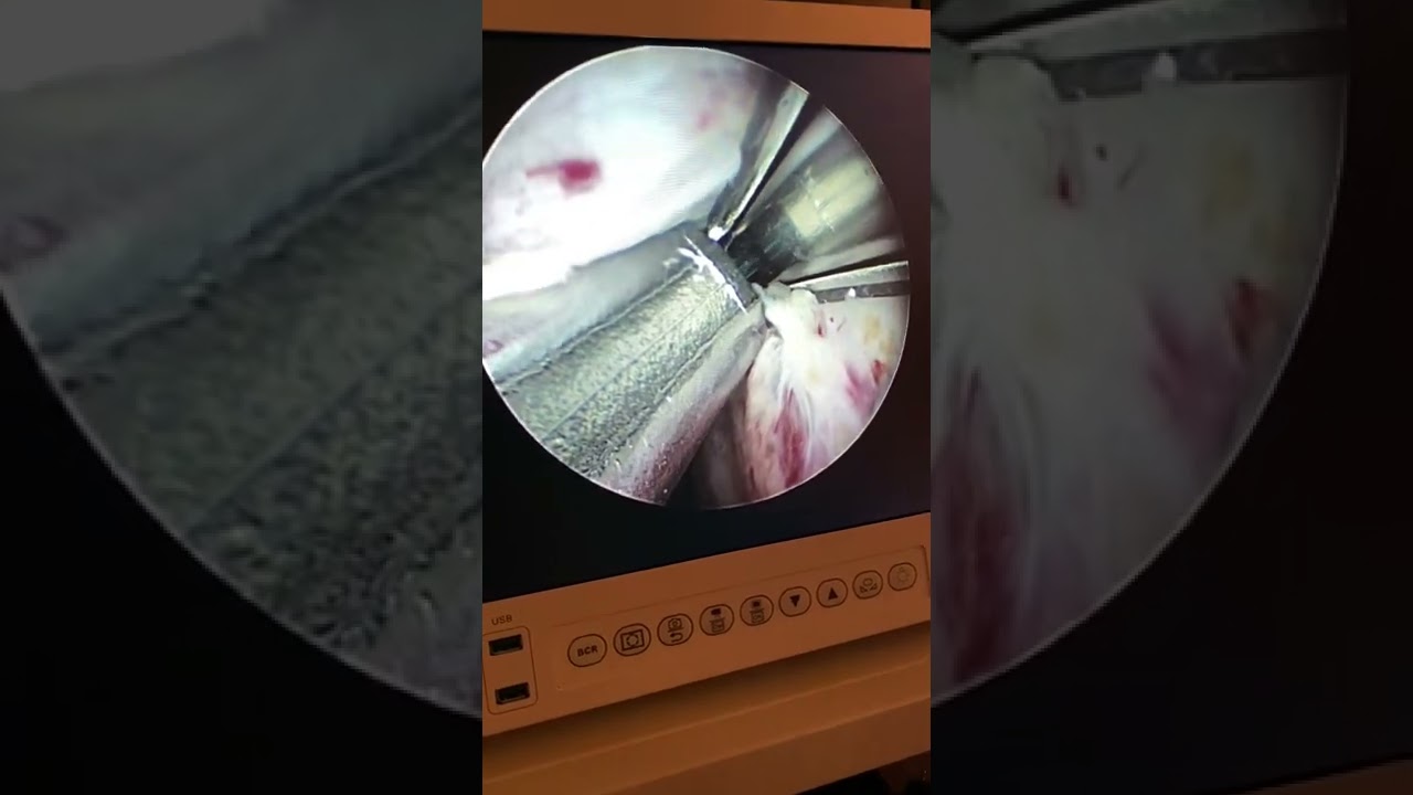 Fabio Sant Anna De Moraes-28