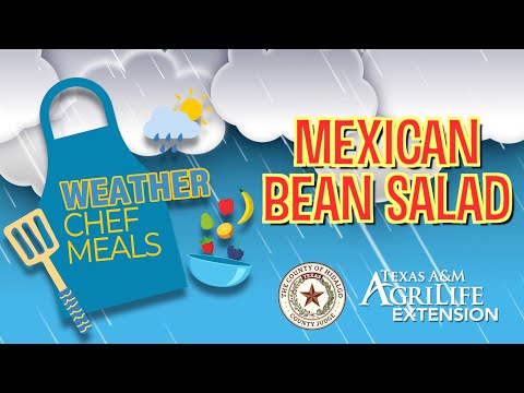 Weather Chef Meal - Salada de Feijão Mexicana
