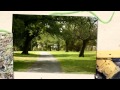 Richard Forrest Tree Service 904 505 4331
