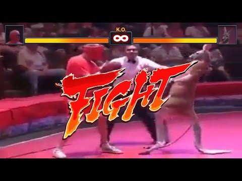 Street Fighter | Kangaroo vs Boxer | PureBronze