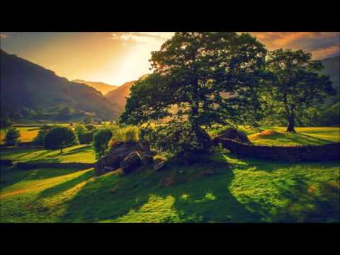 The Thrillseekers presents Hydra - Amber (Skylex Remix) FSOE 450 Compilation