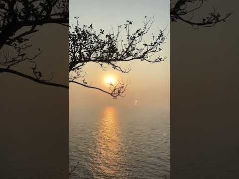 Jara Jara Man Khulavate😍|| Sunset…#sunset #beach #shorts #shortsfeed #marathisong #peace #love