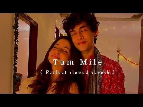 Tum Mile (Slowed reverb) | Javed Ali | Bipin Lofi | lofi