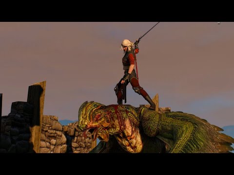 Witcher III Ciri vs Basilisk