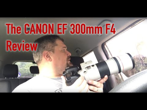 Reviews From the Blind - Episode1:  The Canon EF 300 f4 L IS USM