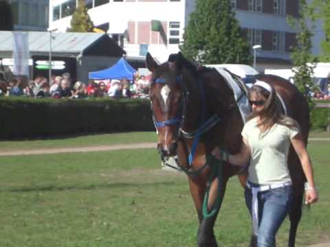 Charley paddock Pardubice 8.5.2012
