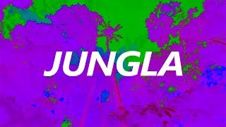 Paulo Londra -Jungla ft J balvin, Karol G  // Paulo Londra Type Beat ( Reggaeton)