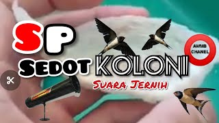 Download lagu SUARA KOLONI WALET PALING RESPON mp3