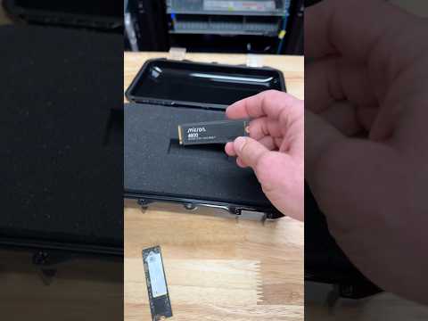 Micron presenta el SSD 4600 PCIe Gen 5 NVMe para clientes, prometiendo tiempos de carga de IA más r