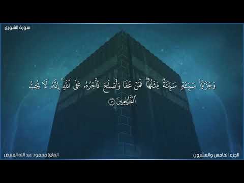 من سورة الشورى 37-43 بصوت الشيخ محمود المبيض (جودة عالية)