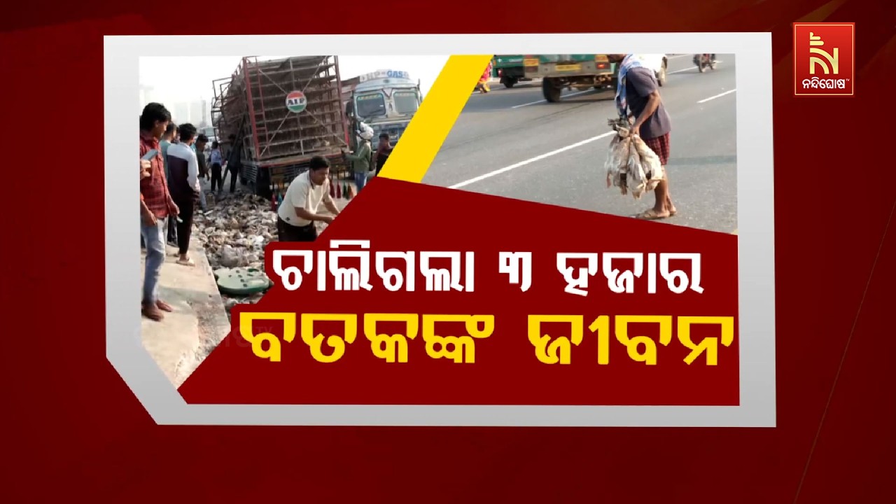 🔴 Live | ଚାଲିଗଲା ୩ହଜାର ବତକଙ୍କ ଜୀବନ