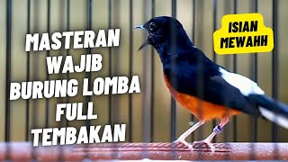 Download lagu MASTERAN MURAI BATU FULL ISIAN TEMBAKAN MEWAH ISIAN KENARI GEREJA KAPAS TEMBAK PRENJAK DLL mp3