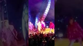 Taylor Swift - Shake it off (Pasadena CA Concert)