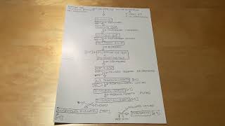 Glicolisi Semplificata | Biochimica