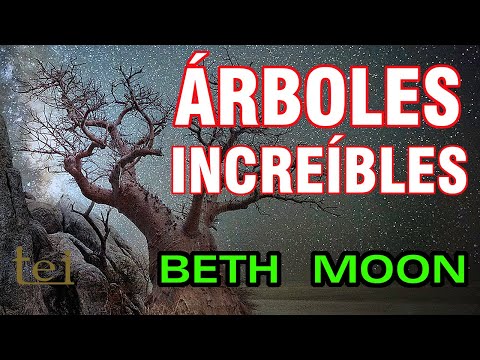 Beth Moon - Árboles Increíbles - Mirá acá los ÁRBOLES que NUNCA VISTE