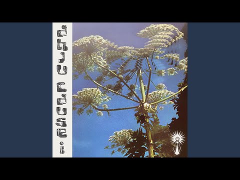 Cause I (Maruwa Remix)