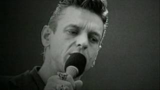 COUSTEAU &quot;( Damn These) Hungry Times&quot; Official Videoclip