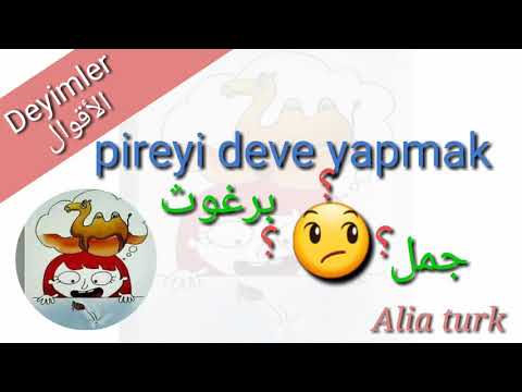مقولة pireyi deve yapmak/تعلم اللغة التركية 🇹🇷