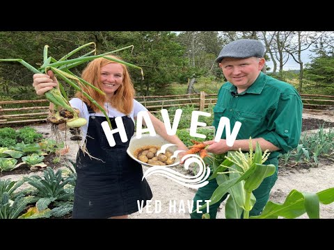 Dag 161 // Er jeg selvforsynende?