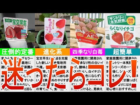 ドーセット州ポンドベリーの眺め