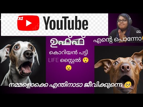 ഇതൊക്കെയാണ് മക്കളെ ജീവിതം #koreandogs #varietymedia #dogslife #reactionvideo #malayalam #youtube