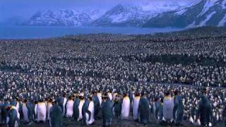 Hallelujahs by Chris Rice