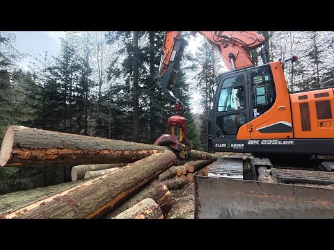 🌲 LOGGING 🌲 Doosan DX 235  LCR - roadside processing