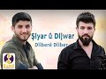 Şiyar û Dijwar Dîlberê Dîlber Akustik