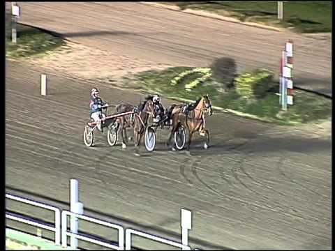 Trotto 12/01/2016 - prova di qualifica