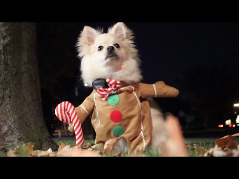 Howl of the Unvaccinated (2022)