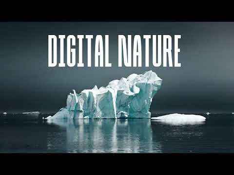 digital nature