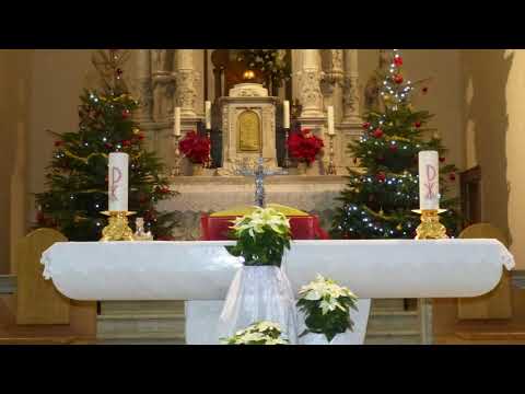 Tebe, Boga, hvalimo!