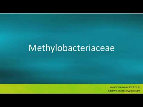 Pronunciation of the word(s) "Methylobacteriaceae".
