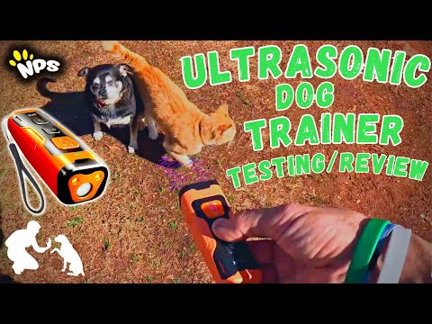 Ultrasonic Dog Bark Deterrent and Trainer - Testing/Review