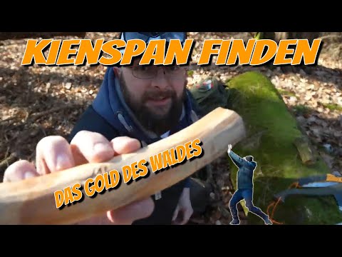 Kienspan finden erkennen und ernten  I Feuer Zunder I Das Gold des Waldes und die Kiefer erkennen