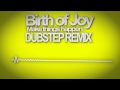 Birth of Joy - Make Things Happen (DUBSTEP REMIX ...