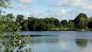 preview picture of video 'The Gravel Pits Upton Warren, Near Bromsgrove, Worcestershire'