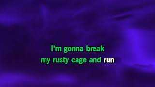 KARAOKE Rusty Cage "soundgarden" KARAOKE