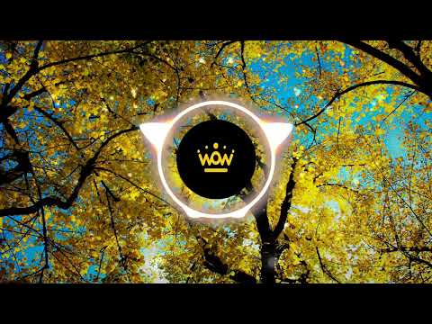 [FREE]Melody - Luke Bergs & Waesto #Tropical Sax house