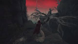 #21 ELDEN RING