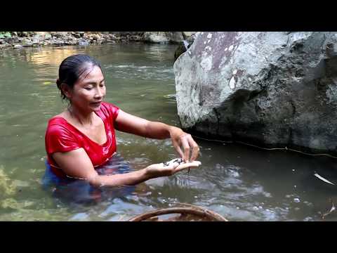 Survival skills: Find small oysters & fried on clay for food - Cooking Oysters eating delicious #6 Video