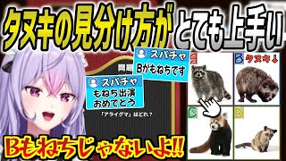 常識人クイズでタヌキの説明になると何故か途端に饒舌になりベタ褒めしだす梢桃音【梢桃音/にじさんじ/切り抜き】