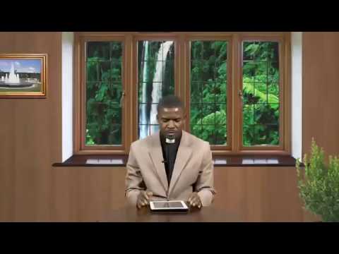 THE DAILY FOUNTAIN OF AUGUST 9TH, 2017