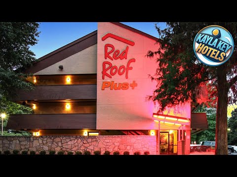 Red Roof PLUS+ Atlanta - Buckhead | Atlanta (GA), United States | Hotel Review 🌟