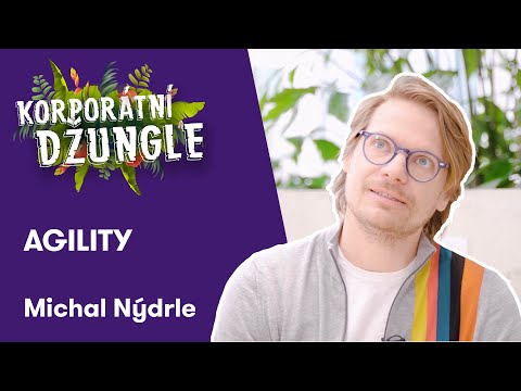 Náhled pro video reference