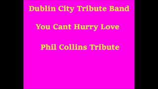 You Can&#39;t Hurry Love Dublin City Tribute Band