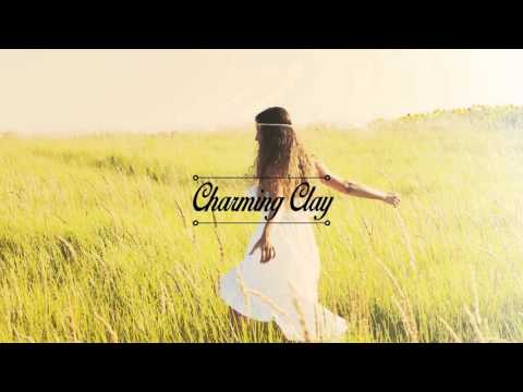 Sergio Fernandez - Back to Roots (Original Mix) | Charming Clay