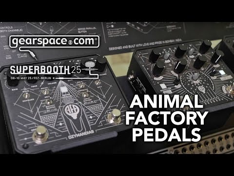 Animal Factory Amplification - Gearspace @ Superbooth 2025