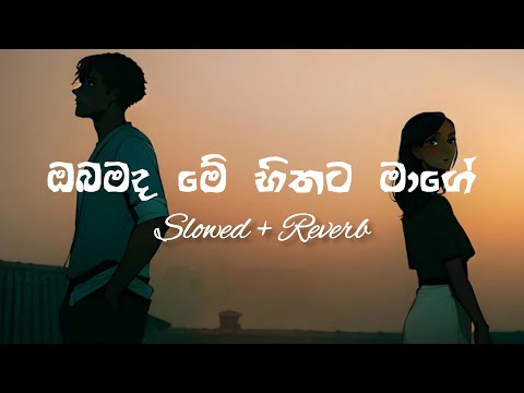 Obamada Me Hithata Mage ( ඔබමද මේ හිතට මාගේ ) | Slowed And Reverb | UPJ MUSIC